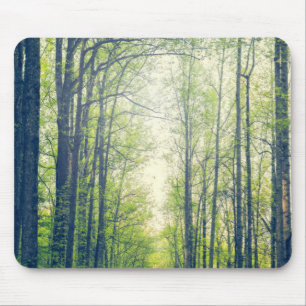 Mystisch bos muismat