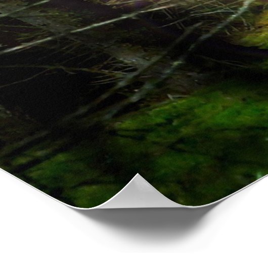 Mystisch bos poster (Hoek)