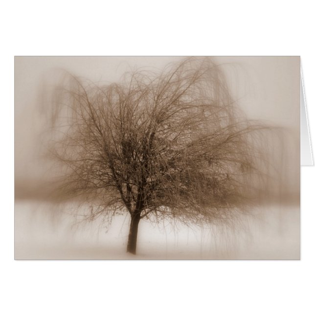 Mystische dromen (Voorkant Horizontaal)