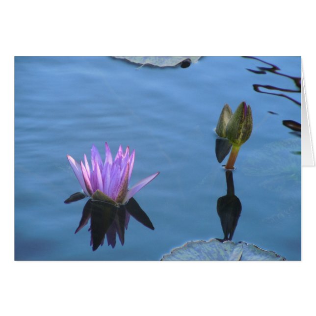 Mystische wateren (Voorkant Horizontaal)