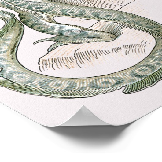 Mythical Lizard Dragon on Rocks,  mythologie Poster (Hoek)
