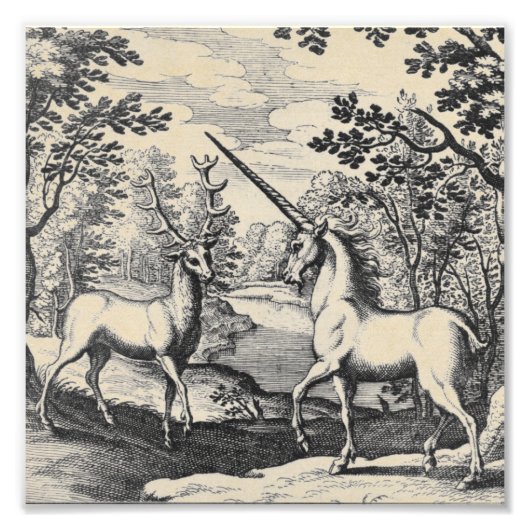 Mythische Unicorn in het bos Foto Afdruk (Voorkant)