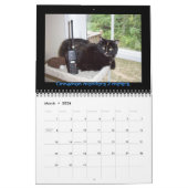N4BWR Ham Radio et Calendrier des chats (Mar 2026)