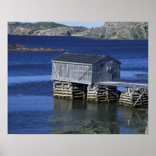 N.A., Canada, Newfoundland, Durrell. Vissen Poster