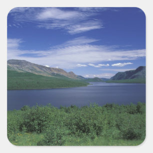 N.A., Canada, Newfoundland, Grose Morne Forel Vierkante Sticker