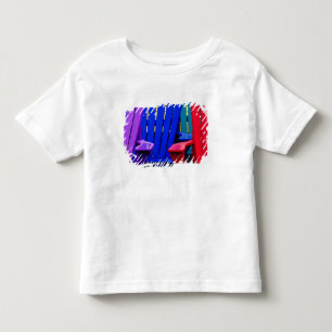 N.A. Canada, Nova Scotia, Bridgewater. Kleurrijk 2 Kinder Shirts