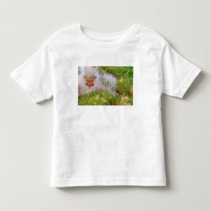 N.A. Canada, Nova Scotia, Peggy's Cove. Kinder Shirts