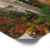 N.A., USA, New Hampshire, White Mountains Poster (Hoek)