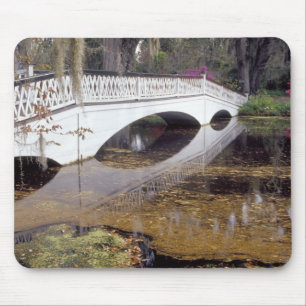 N.A., USA, South Carolina, Charleston.  Magnolia Muismat