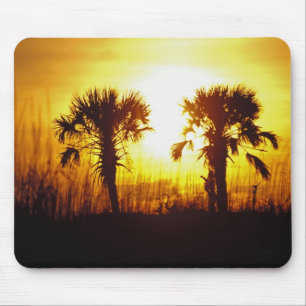 N.A., USA, South Carolina, Charleston. Sunset Muismat