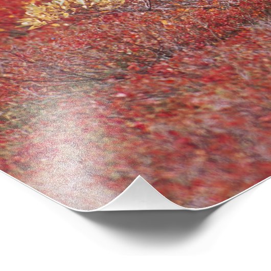 N.A., Verenigde Staten, Alaska, Nationaal Park Den Foto Afdruk (Hoek)