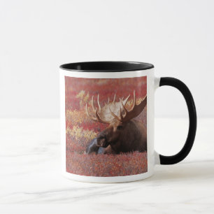 N.A., Verenigde Staten, Alaska, Nationaal Park Den Mok