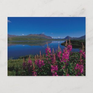 N.A., VS, Alaska, Alaska Range Common Briefkaart
