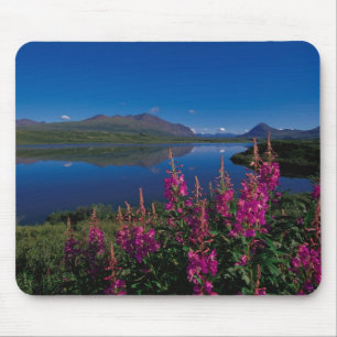 N.A., VS, Alaska, Alaska Range Common Muismat