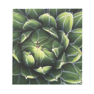 N.A., VS, Arizona, Tucson, Sonora Desert Notitieblok