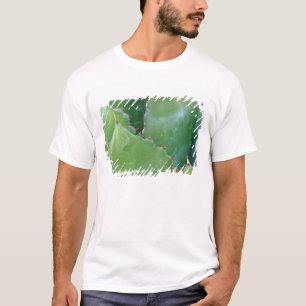 N.A., VS, Arizona, Tucson, Sonorawoestijn T-shirt