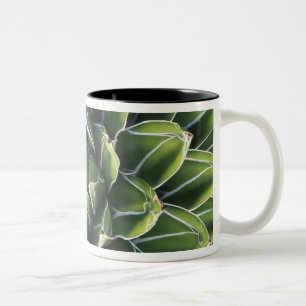 N.A., VS, Arizona, Tucson, Sonorawoestijn Tweekleurige Koffiemok