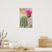 N.A., VS, AZ, Phoenix, Desert Botanical Poster (Keuken)