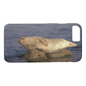 N.A., VS, Californië, Monterey. Harbour Seal Case-Mate iPhone Case (Achterkant (Horizontaal))