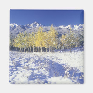 N.A., VS, Colorado, San Juan Mts Verse sneeuw Magneet