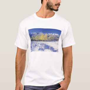 N.A., VS, Colorado, San Juan Mts Verse sneeuw T-shirt