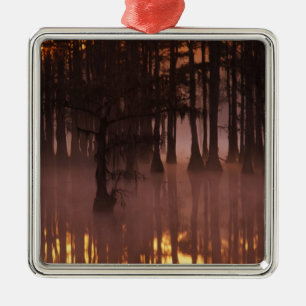 N.A., VS, Georgia, George Smith State Park. Metalen Ornament