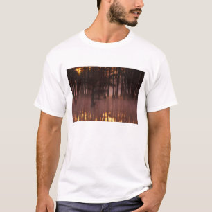 N.A., VS, Georgia, George Smith State Park. T-shirt