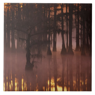 N.A., VS, Georgia, George Smith State Park. Tegeltje