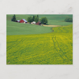 N.A., VS, Idaho, Latah County, nabij Genesee. Briefkaart