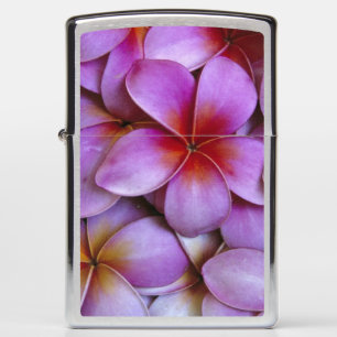 N.A., VS, Maui, Hawaï. Roze Plumeria-bloesems.