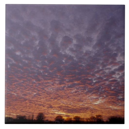 N.A., VS, New Mexico, bij Las Cruces, Tegeltje (Voorkant)