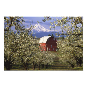 N.A., VS, Oregon, Hood River County. Rood Foto Afdruk