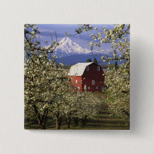 N.A., VS, Oregon, Hood River County. Rood Vierkante Button 5,1 Cm