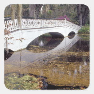 N.A., VS, South Carolina, Charleston. Magnolia Vierkante Sticker