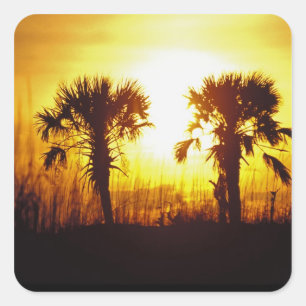 N.A., VS, South Carolina, Charleston. Zonsondergan Vierkante Sticker