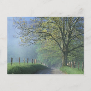 N.A., VS, Tennessee, Smokey Mts. Nationaal Park, Briefkaart