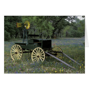 N.A., VS, Texas, Devine, Oude wagen en