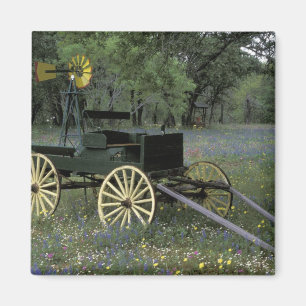 N.A., VS, Texas, Devine, Oude wagen en Magneet