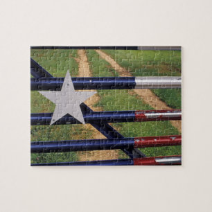 N.A., VS, Texas, Lake Buchanan, vlag van Texas Legpuzzel