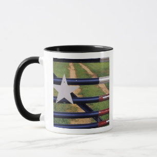N.A., VS, Texas, Lake Buchanan, vlag van Texas Mok