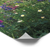 N.A., VS, Texas, Lytle, Fence post en Poster (Hoek)