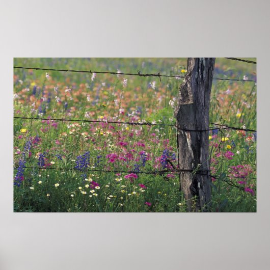N.A., VS, Texas, Lytle, Fence post en Poster (Voorkant)