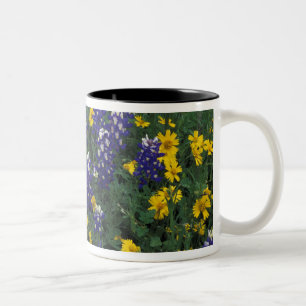 N.A, VS, Texas, Marble Falls, Blau Bonnetten Tweekleurige Koffiemok