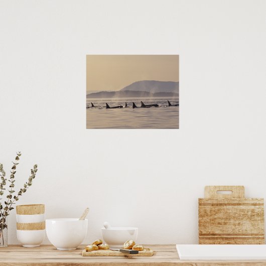 N.A., VS, Washington, San Juan Islands Orca Poster (Keuken)