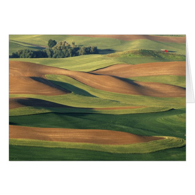 N.A., VS, Washington, Whitman County. (Voorkant Horizontaal)