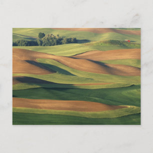 N.A., VS, Washington, Whitman County. Briefkaart