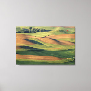 N.A., VS, Washington, Whitman County. Canvas Afdruk