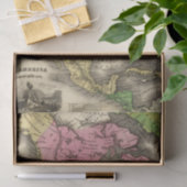 N Amerika Tissuepapier (Geschenk)