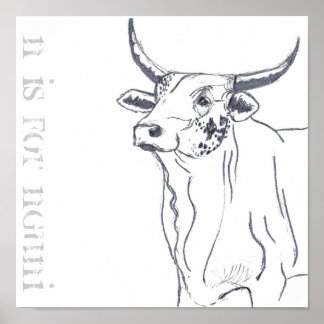 n is voor nguni poster