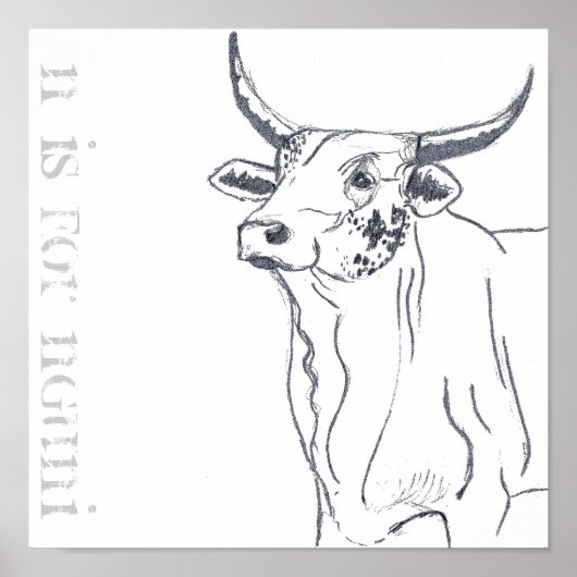 n is voor nguni poster (Voorkant)